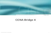 1 © 2003, Cisco Systems, Inc. All rights reserved. CCNA Bridge 4.