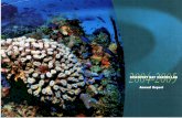 Discovery Bay Marine Laboratory Annual Report 2004-05
