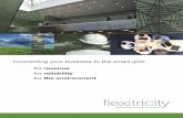 Flexitricity Brochure 1.0