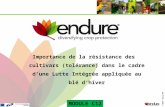 © ENDURE, February 2007 FOOD QUALITY AND SAFETY © ENDURE, February 2007 FOOD QUALITY AND SAFETY Importance de la résistance des cultivars (tolérance) dans.