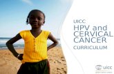 UICC HPV and Cervical Cancer Curriculum Chapter 6.b. Methods of treatment - LEEP R. Sankaranarayanan MD; C. Santos MD UICC HPV and CERVICAL CANCER CURRICULUM.