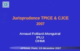 Jurisprudence TPICE & CJCE 2007 APRAM, Paris, 13 décembre 2007 Arnaud Folliard-Monguiral IPLU OHMI.