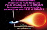 La collaboration MINE : observations multi-longueurs donde simultanées avec INTEGRAL des sources de jets relativistes; perspectives avec HESS et ANTARES.