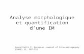 Analyse morphologique et quantification dune IM Lancellotti P: European Journal of Echocardiography (2010) 11, 307–332.