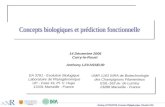 Anthony LEVASSEUR. Formation Phylogénomique- Décembre 2006 EA 3781 - Evolution Biologique Laboratoire de Phylogénomique UP - Case 19, Pl. V. Hugo 13331.