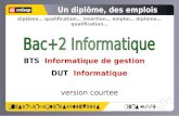 Diplôme… qualification… insertion… emploi… diplôme… qualification… BTS Informatique de gestion DUT Informatique version courtee.