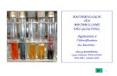 1 BACTERIOLOGIE TD2 METABOLISME DES GLUCIDES. Application à lidentification des bactéries. Thierry RUMMENS, Lycée Jolimont TOULOUSE BTS AB1, octobre 2004.