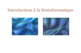 Introduction à la bioinformatique. Biologie in situEnvironnement naturel Biologie in vivo Organisme entier Biologie ex vivo Niveau cellulaire Biologie.
