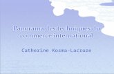 Catherine Kosma-Lacroze. Les Incoterms Le transport international et cotations La gestion documentaire Les régimes douaniers et liquidation douanière.