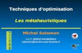 Michel Salomon Techniques doptimisation Les métaheuristiques I.U.T. Belfort-Montbéliard salomon@iut-bm.univ-fcomte.fr.