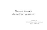 Déterminants du retour veineux Céline GIL DESC Réanimation médicale Nice - Juin 2010.