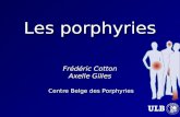 Les porphyries Frédéric Cotton Axelle Gilles Centre Belge des Porphyries.