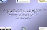 Apodisation de Fibres à Réseaux de Bragg Echantillonnées pour la synthèse de codes CDMA spectral Benjamin Ivorra - Bijan Mohammmadi - (I3M – UM2) Yves.