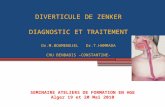 DIVERTICULE DE ZENKER DIAGNOSTIC ET TRAITEMENT Dr.M.BOUMENDJEL Dr.T.HAMMADA CHU BENBADIS –CONSTANTINE- SEMINAIRE ATELIERS DE FORMATION EN HGE Alger 19.