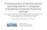 Consequences of Mediterranean warming events in seagrass (Posidonia oceanica) flowering records ELENA DIAZ – ALMELA, NURIA MARBÀ and CARLOS M. DUARTE IMEDIA.