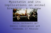 Myostatin and its implications on animal breeding: a review Julia Jackowski gr7 Emeric Lemarignier gr8 Vendredi 17 février.