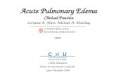 Acute Pulmonary Edema Clinical Practice Lorraine B. Ware, Michael A. Matthay Cédric Delzanno DESC de réanimation médicale Lyon-Décembre 2006 2005.