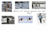 Which of these would you do? Why?. What is parkours?  ws0  ws0.