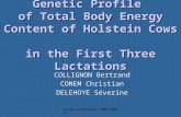 Année académique 2005-2006 Genetic Profile of Total Body Energy Content of Holstein Cows in the First Three Lactations.