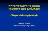 DEFICIT MOTEUR ET/OU SENSITIF DES MEMBRES Clinique et électrophysiologie Ombeline Fagniez CCA Service de Neurologie Adulte.