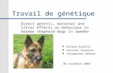 Travail de génétique Evrard Aurélie Kastler Tiphaine Schumacher Hélène Direct genetic, maternal and litter effects on behaviour in German shepherd dogs.