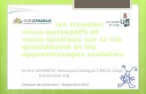 Emilie SCHMETZ, Neuropsychologue CIRICU Liège Doctorante Ulg Colloque de Libramont – Septembre 2012.