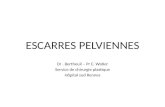 ESCARRES PELVIENNES Dr. Bertheuil – Pr E. Watier Service de chirurgie plastique Hôpital sud Rennes.