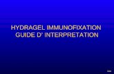 HYDRAGEL IMMUNOFIXATION GUIDE D’ INTERPRETATION Suite.