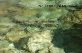 GMES Projet Intégré MERSEA Marine Environment and Security for the European Area.