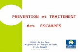PREVENTION et TRAITEMENT des ESCARRES Edith de La Tour IDE gestion du risque escarre CH de ROANNE 1E.dLT cours AS 01/2015.