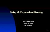 entry and expansion strategy