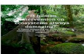 Ecosystems Essay- Pulau Tioman and The Amazon Rainforest