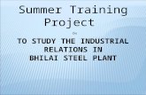 LCM Summer Training Project INDUSTRIAL RELATIONS IN BSP.ppt