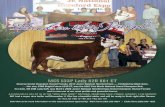 MCS Cattle Company Brochure 2011-01