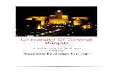 University of Central Punjab Project