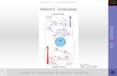 Institut für Molekulare & Zelluläre Anatomie DeepInCyte Thema VI - Verdauungstrakt Referat 2 - Endozytose Ross, Pawlina: Histology - A Text and Atlas 5e.