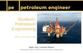 Studium: Petroleum Engineering Wien, 10. November 2009 Dipl.-Ing. Leonie Ebner Department Mineral Resources and Petroleum Engineering.