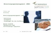 Jan. 2011co: Implementierer GmbH Materialgruppenmanagement (MGM) Intro zum Workshop Materialgruppenmanagement (MGM) Definition Grundsätze Grundlagen für.