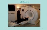 1 F.C. Donders Centre for Cognitive Neuroimaging MR-Scanner.