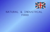 NATURAL & INDUSTRIAL FOOD. Natural & Industrial Food2 TIMELINE & ORGANIZATION  2 groups of 11 pupils  2 lessons per week (120 min)  4 lessons in each.