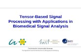 Ilmenau University of Technology Communications Research Laboratory 1 Tensor-Based Signal Processing with Applications in Biomedical Signal Analysis Technische.