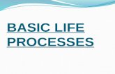 Basic Life Processes