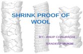 Wool Shrinkage