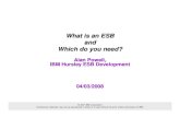 ESB Decision Guide 121107 AWP