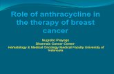 Role of Anthracycline in the Therapy of Breast