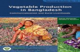 Vegetable Production in BD