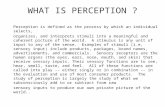 Perception - 9