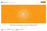 Retail Email marketing case study : Halfords
