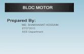 Bldc Motor