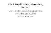 Dna Replication Lecture Notes